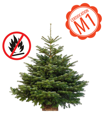 sapin Noël anti feu ignifugé certifié M1 lieu public Nordmann Epicéa