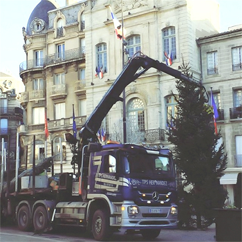 installation sapin géant livré installé ville 15m